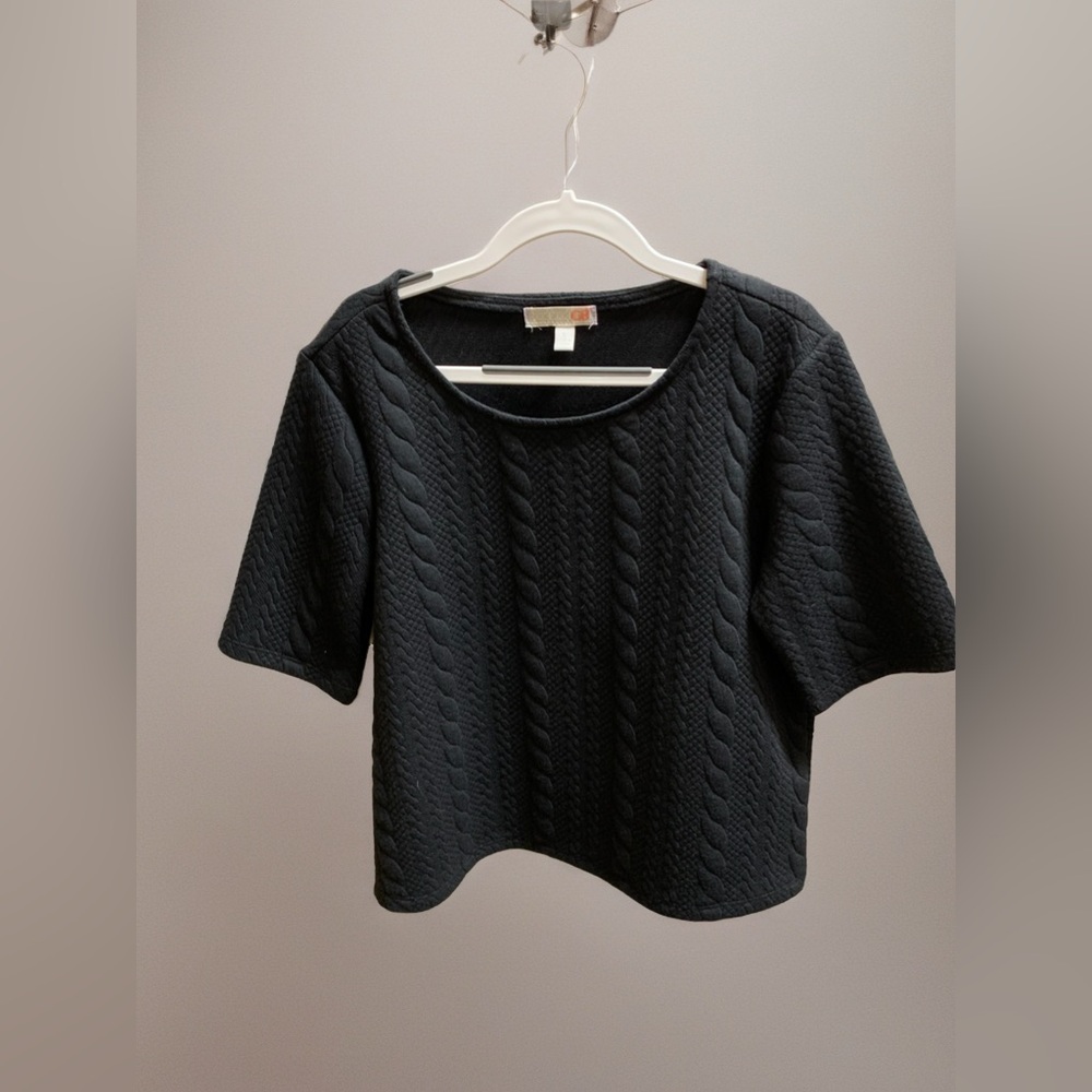 NWOT GB Gianni Bini Black Short Sleeve Sweater Knit Top - Never worn, fall style